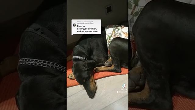 "Уйти очень трудно,когда долго на отдыхе"👍 смотреть онлайн