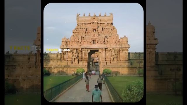 మిమ్మల్ని ఆశ్చర్య పరిచే బృహదీశ్వర ఆలయం చరిత్ర 😲 || Brihadeeswara Temple mistery || T Facts Telugu | смотреть онлайн