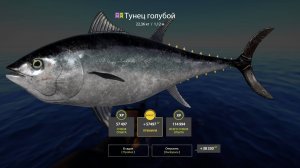 ОТЛИЧНЫЙ ФАРМ НА НОРВЕЖСКОМ МОРЕ НА МЕЛКИХ БАНКАХ В РУССКОЙ РЫБАЛКЕ 4 РР4