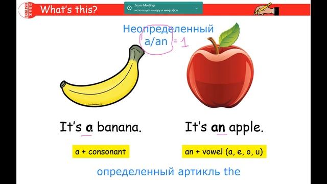 Неопределенный артикль a/an для начинающих смотреть онлайн