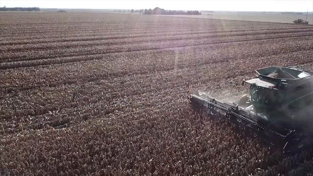 KS Sorghum Update 9 18 2021 смотреть онлайн