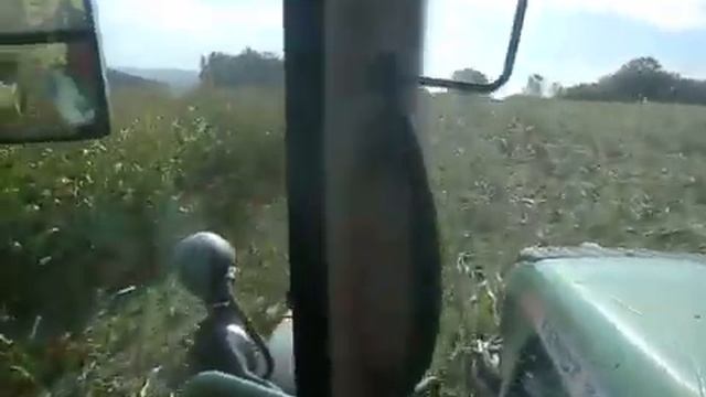 силос підготовка смотреть онлайн