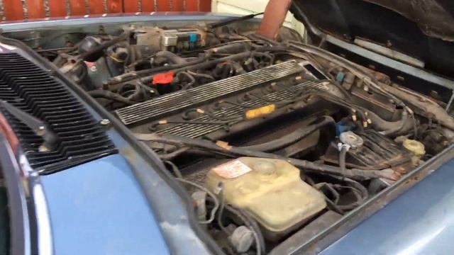 Project XJS - 1990 Jaguar XJS 3.6 Manual Engine Startup смотреть онлайн