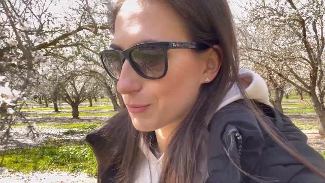 Один день из жизни в США. Работа, планы, медицина - отвечаю на все ваши вопросы #жизньвсша смотреть онлайн