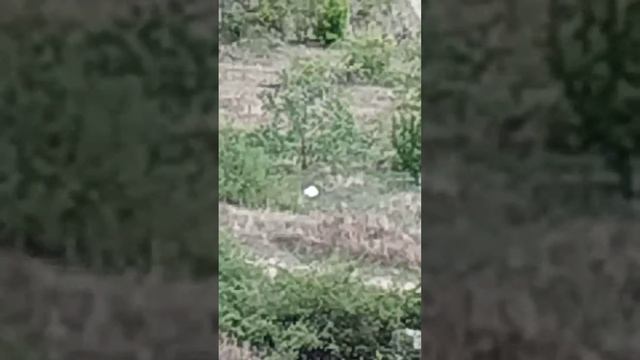 Как кидать камень с обрыва смотреть онлайн