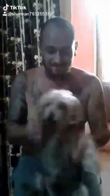 Crazy me and my little dog xxx смотреть онлайн