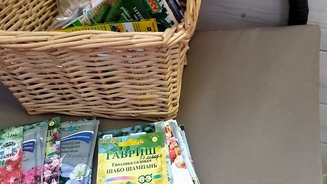 Все семена ЦВЕТОВ на новый сезон 2023 Яркие примулы смотреть онлайн