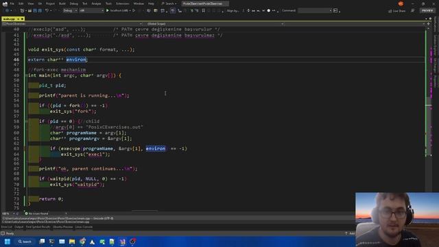 Posix - exec(c language) смотреть онлайн