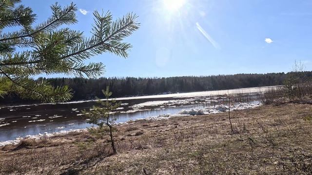 г. Тотьма р. Сухона ледоход 4k. Всем хорошего дня смотреть онлайн