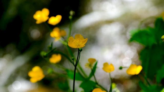 Мы писали книгу о далеких островах (старая запись ) смотреть онлайн
