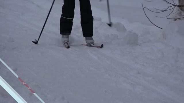 2022 02 16 "Лыжня России" в Городском парке смотреть онлайн