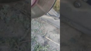 ремонт АКПП nissan presage