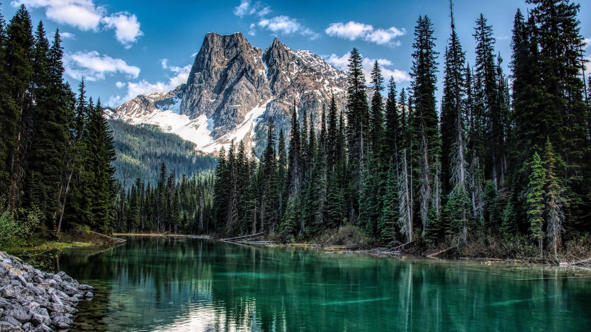 ---Красивое Видео Природы (Без авторских прав)---