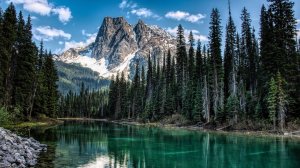 ---Красивое Видео Природы (Без авторских прав)---