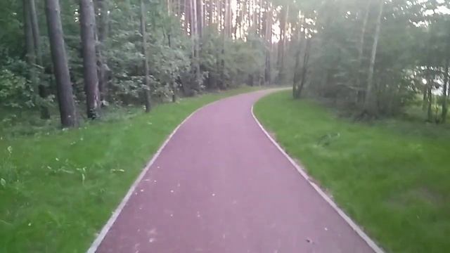 Вильнюс. Лесная дорога. смотреть онлайн