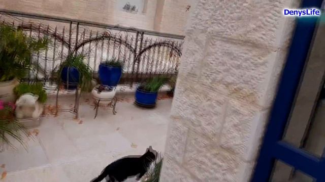 Израиль. Осень пришла в декабре смотреть онлайн