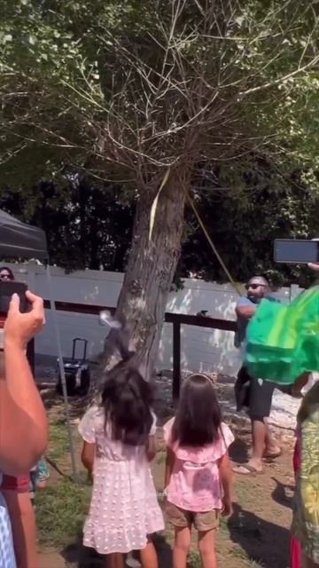 Новый дачный проект #скусадьбы #домподключ #дача #барнхаус #построитьдом #shortsvideo #shorts смотреть онлайн