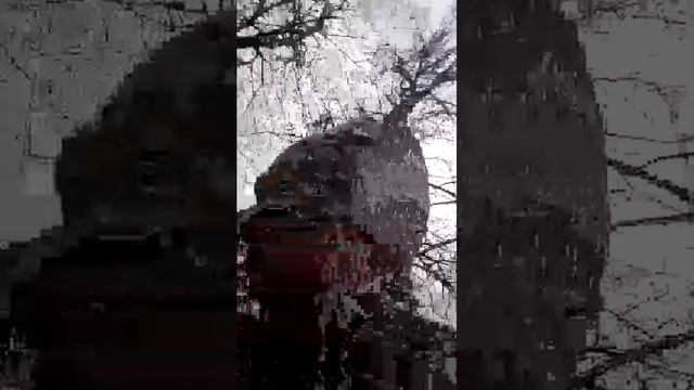 скоро будет новый ролик смотреть онлайн