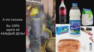ВКУСНО ВАМ? Отныне СОЕВОЕ МАСЛО! Пальмовое Масло в прошлом. Оно Перестало Быть Самым Дешёвым.