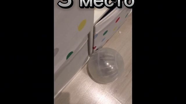 Топ 5 милых видео с жориком🐹🐹 смотреть онлайн