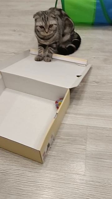 Мячик в коробке