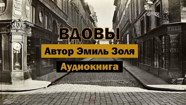 Вдовы Э.Золя Аудиокнига #аудиокниги #аудиокнигислушать #аудиокнигибесплатно #библиотека #books