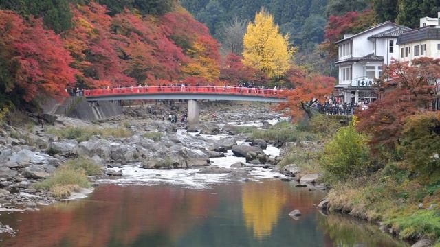 23 ШКОЛЬНЫХ ПРАВИЛА В ЯПОНИИ, В СУЩЕСТВОВАНИЕ КОТОРЫХ ВЫ НЕ ПОВЕРИТЕ! смотреть онлайн