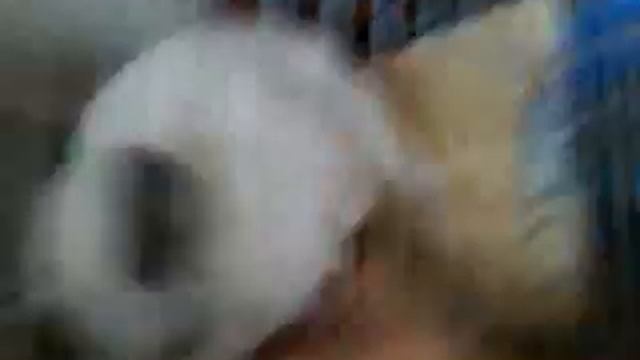 Пончик шиншилла смотреть онлайн
