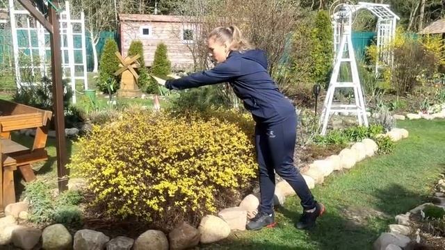 Прогулка по весеннему саду. Борьба с одуванчиками. Опоры и подвязка плетистых роз смотреть онлайн