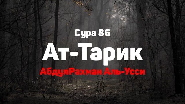 Сура 86 Ат-Тарик - АбдулРахман Аль-Усси