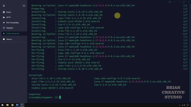 Install Java Runtime Environment 17 di CentOS Stream 8 смотреть онлайн