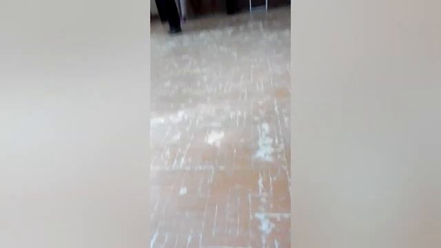 Жизнь в музыкальном колледже. Часть 1🌚✨ смотреть онлайн