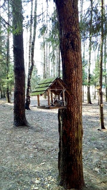 В нашем парке смотреть онлайн