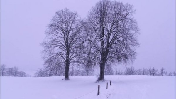 Leech - The Man With The Hammer
