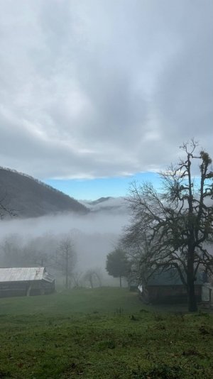 Новый год в экопоселении Ажек 🏔💦🏡🎄