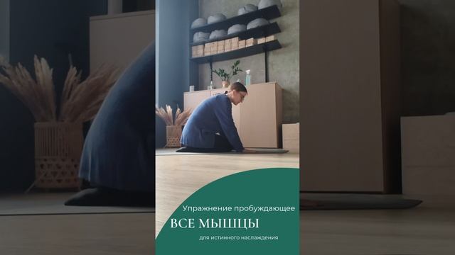 А вы так умеете?.mp4 смотреть онлайн