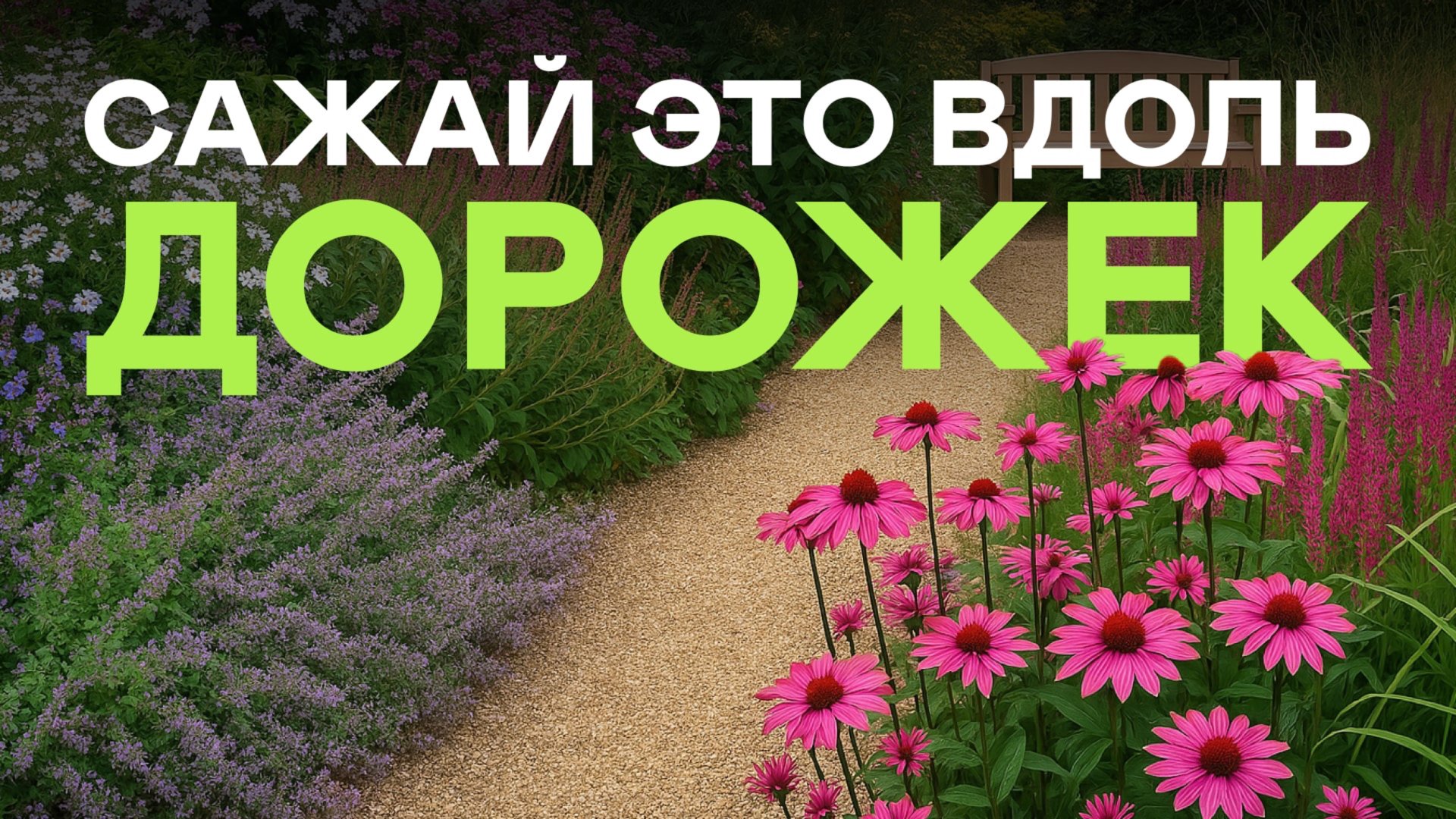 Я Бы Никогда Не Посадила Эти 5 Растений Вдоль Дорожек (невозможно ходить!) смотреть онлайн