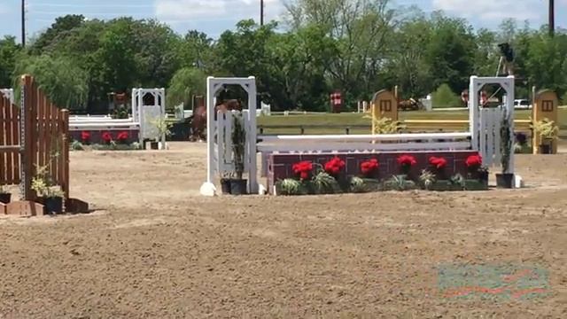 Lamborghini, Champion Childrens Hunter, 2016 Aiken Spring смотреть онлайн