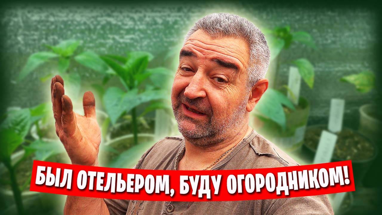 Мой огород и теплица / С баклажанами беда! / Распикировал сельдерей, редиска попёрла! смотреть онлайн