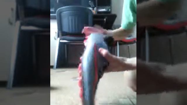 Обзор футбольных бутс:) смотреть онлайн