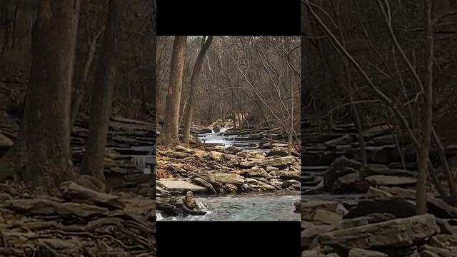 Ifootage Timberpod Review vlog on an Iphone 11 смотреть онлайн