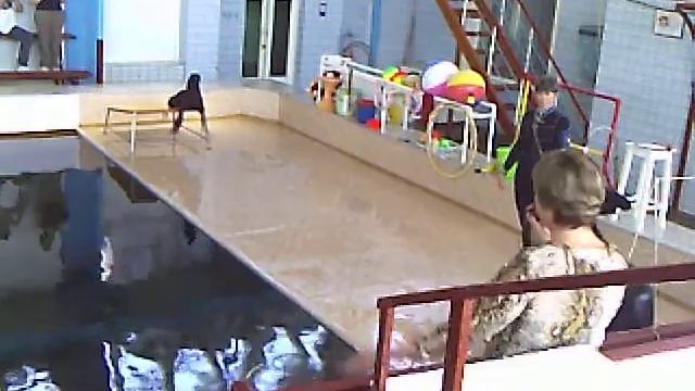 Яша и Яна расчесываются... смотреть онлайн