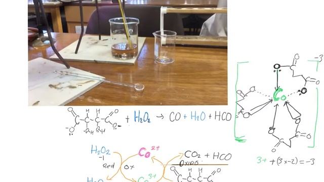 Cobalt as a Catalyst смотреть онлайн