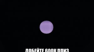 истина пиццерии