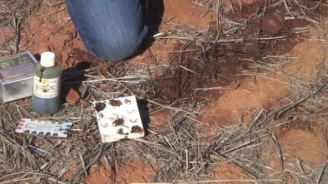 How to test soil pH смотреть онлайн