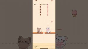 Duet Cats Believer