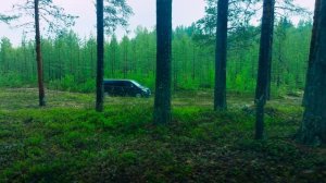 Юджин Леви: Путешественник поневоле 2 сезон 1 серия «Швеция» (документальный сериал, 2023)