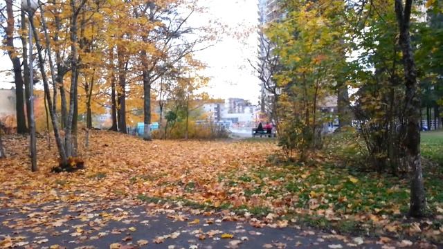 Листвы опавшей под деревьями навалом