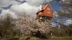 Power up 1 Unit 8 Cross-curricular