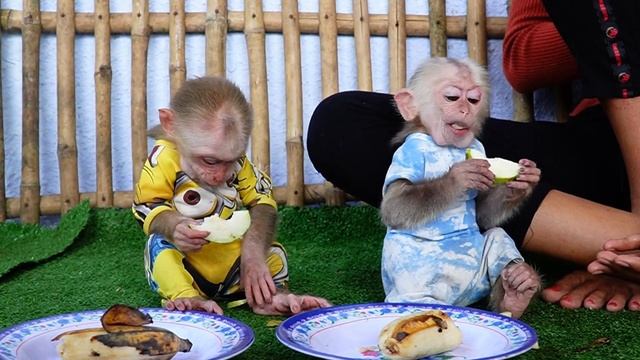 Very Smart Kid Two Brother PLOY & JOOY Waiting Mom Help Share Fruit смотреть онлайн